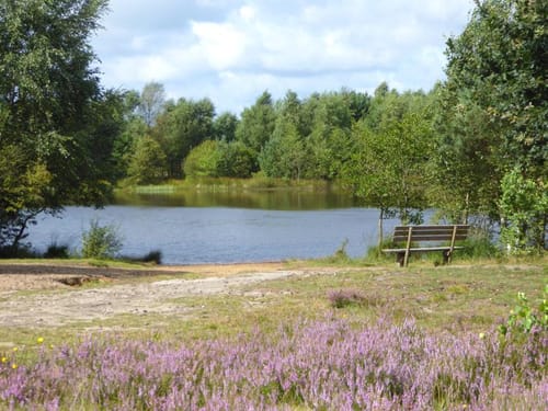Nordic Walking 35M Schneverdingen