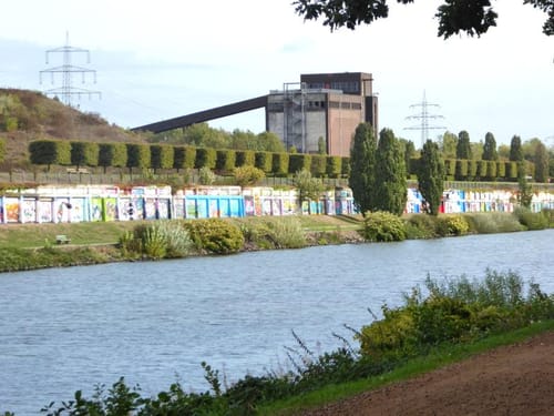 Industrienatur rund um Katernberg
