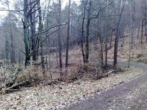 Tour über Himmeltal nach Wörth