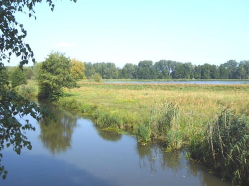 Vetschauer KulTour