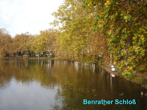 Urdenbacher Kämpe und Schlosspark Benrath