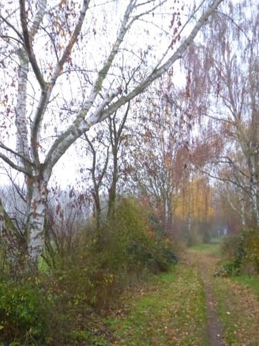 Nienburg nach Erichshagen über Drakenburg