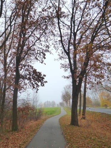 Nienburg nach Erichshagen über Drakenburg