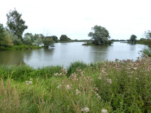 Altmühlsee Rundweg