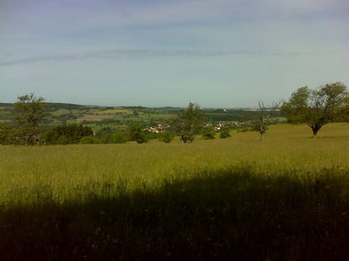 Kneippweg Erfweiler-Ehlingen
