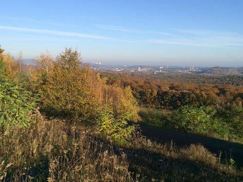 Saukaulenweg