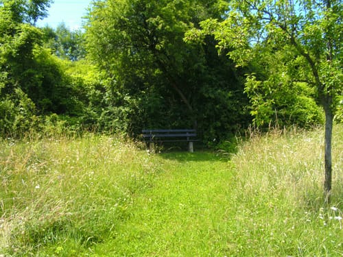 Radtour: Leopoldstal - Friedwald Holzhausen