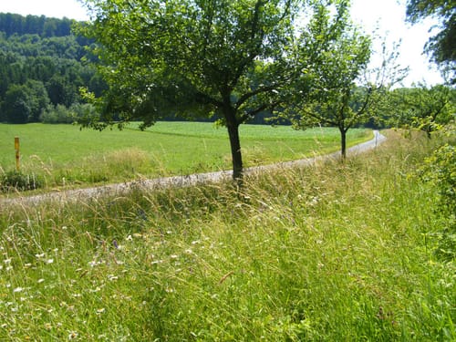 Radtour: Leopoldstal - Friedwald Holzhausen