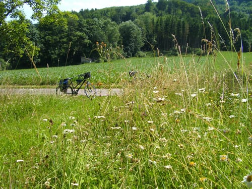 Radtour: Leopoldstal - Friedwald Holzhausen