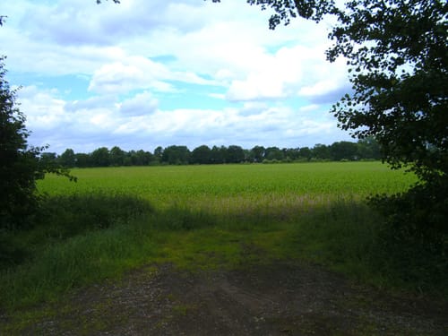 Hövelhof Radroute Hö4