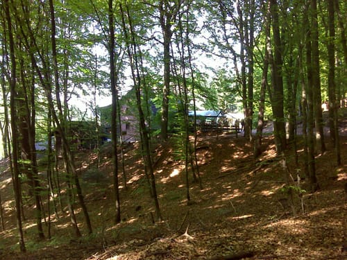 Rundwanderweg Erfweiler 58