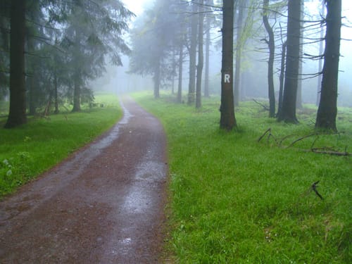 Bad Liebenstein - Inselsberg - Brotterode