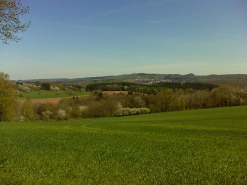 Schauinslandweg (Premiumwanderweg)