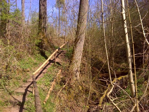 Schauinslandweg (Premiumwanderweg)