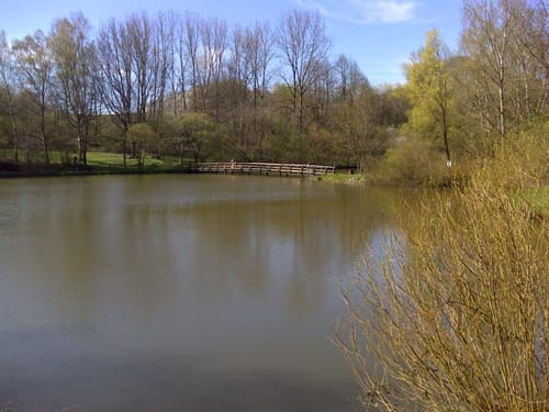 Schauinslandweg (Premiumwanderweg)