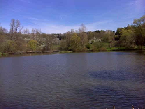 Schauinslandweg (Premiumwanderweg)