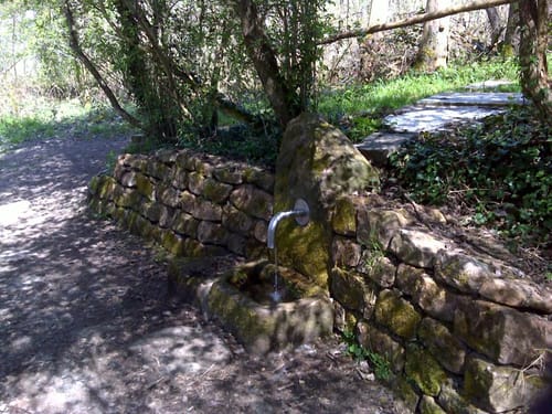 Schauinslandweg (Premiumwanderweg)