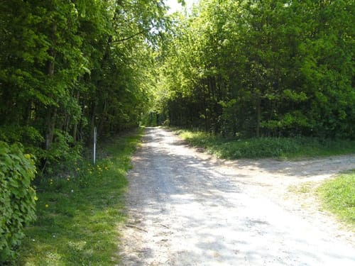 Nieheim - Bellersen - Bökendorf