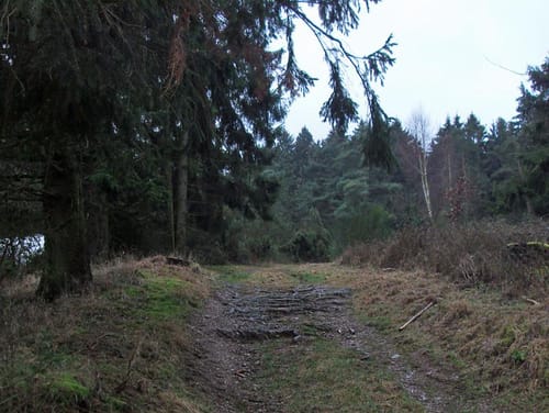 Historische Straße Wacholderweg