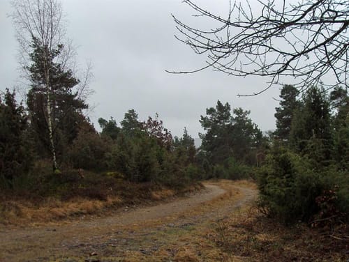 Historische Straße Wacholderweg