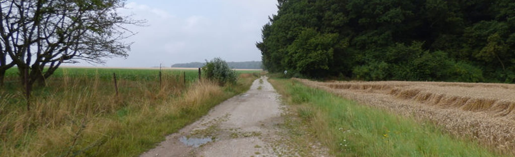 HermannseckLodersleben 1 Reviews, Map SaxonyAnhalt, Germany