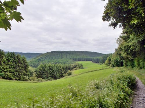 Einsame Wege abseits der Ahr: Höhen um Fronrath und Cassel