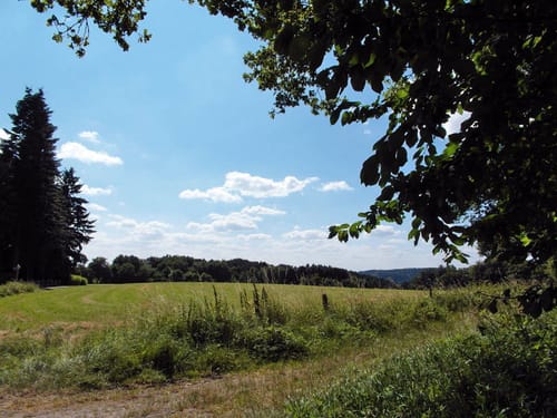 Von Winterscheid nach Driesch entlang der Römerstraße