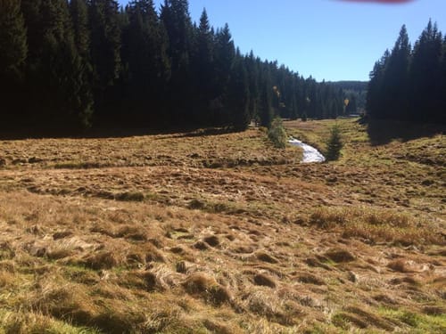 Kammweg Erzgebirge-Vogtland Etappe 6: Kühnhalde - Satzung