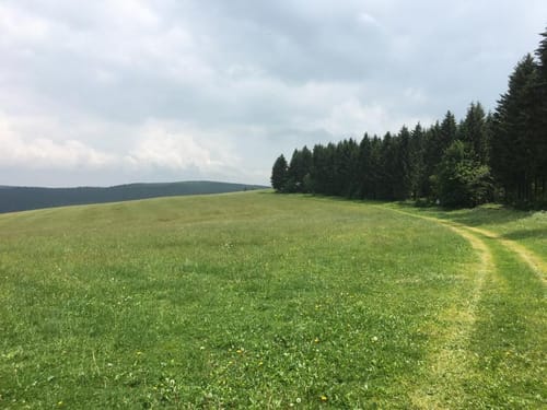 Kammweg Erzgebirge-Vogtland Etappe 2: Holzhau - Sayda