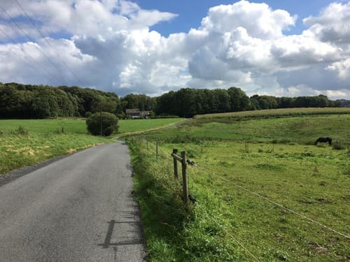 BSG-RheinEnergie Permanente rechtsrheinisch 41er Strecke