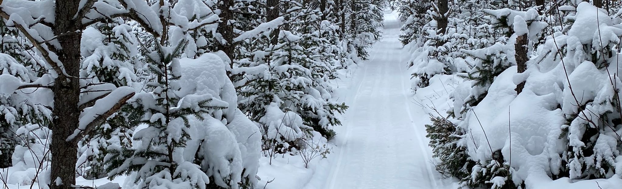 Chemin de la RivièreVerte Trail 14 Reviews, Map Quebec, Canada