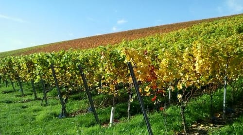 Wanderweg Nr. 24 Eußenheim: Frühmesserweg