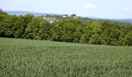 Wanderweg Nr. 25a Eußenheim-Aschfeld Bildstockwanderweg 