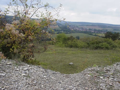 Wanderweg Nr. 01 Eußenheim Gesamtweg als Rundweg