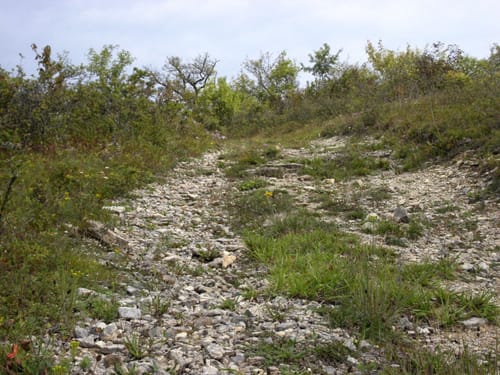 Wanderweg Nr. 01 Eußenheim Gesamtweg als Rundweg