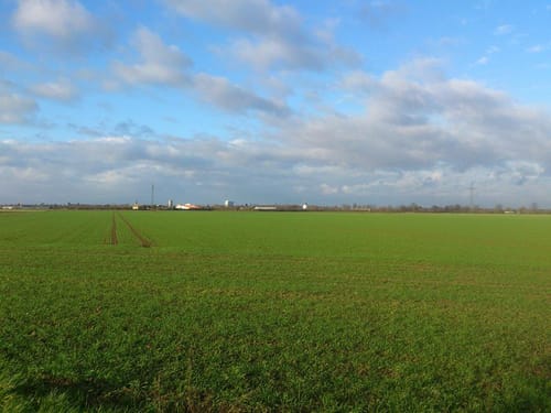 Rund um Neuss: Nordkanal - Stadtwald - Westfeldpark
