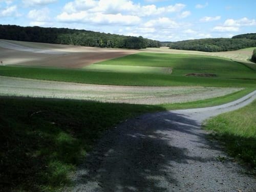 Wanderweg Nr. 01 Eußenheim Gesamtweg als Rundweg