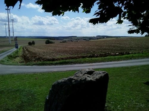 Wanderweg Nr. 26 Eußenheim-Aschfeld Bildstockwanderweg II 