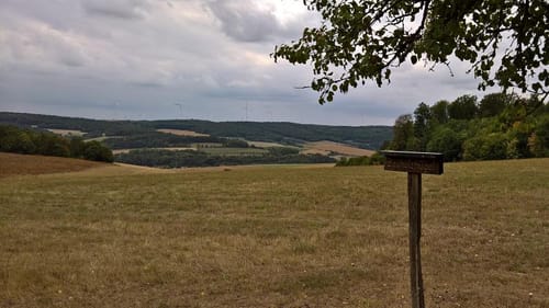 Wanderweg Nr. 01 Eußenheim Gesamtweg als Rundweg