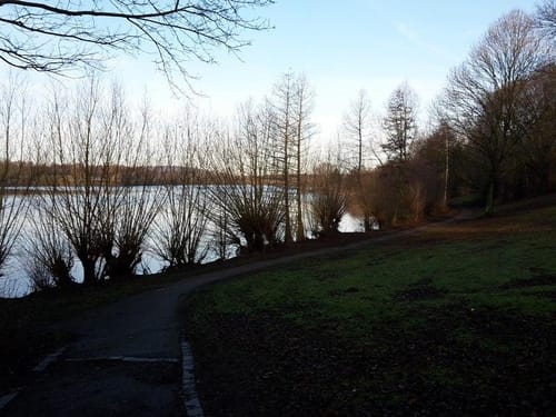 Rund um den Uettelsheimer See