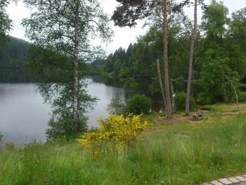 Schluchsee Rundweg