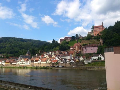 Burg Hirschhorn und Neckarschleife