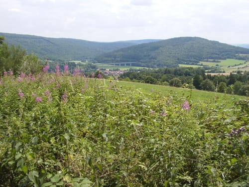 Tour 8: Rundweg Hase