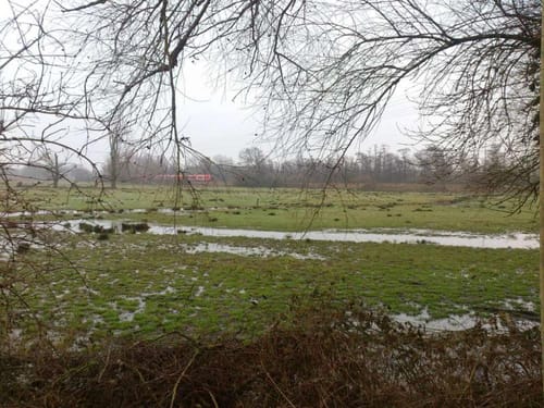 Anrath Rundwanderweg Quadrat