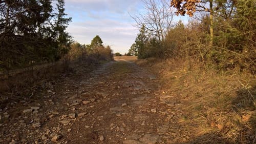 Wanderweg Nr. 01 Eußenheim Gesamtweg als Rundweg