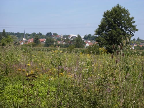 Wanderweg Nr. 20 Eußenheim über Riedweg nach Gössenheim