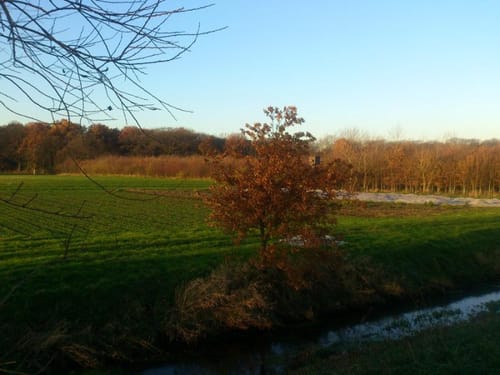 Lauersfort Rundweg A1