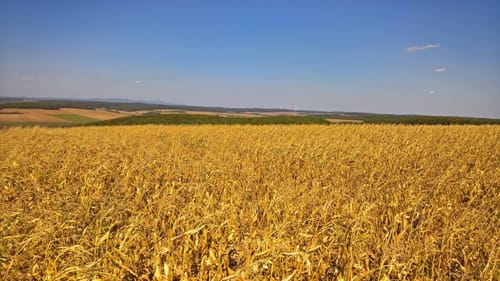 Wanderweg Nr. 01 Eußenheim Gesamtweg als Rundweg