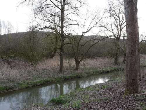 Wabe 265 Ahlen