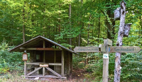 Rundwanderweg Burgsinn: Schwarzer Fuchs